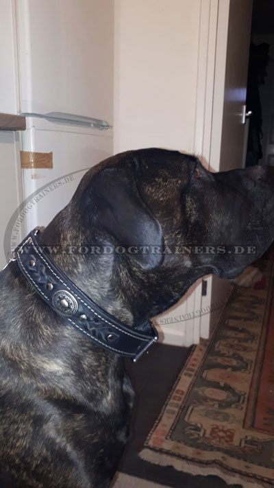 Handgefertigtes Hundehalsband aus Leder