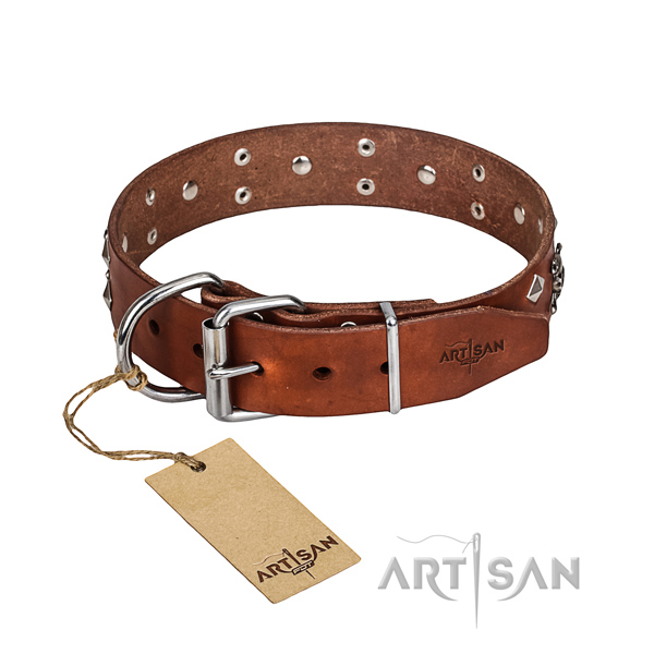 Luxus Hundehalsband kaufen