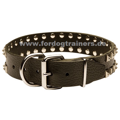 Halsband für Hunde