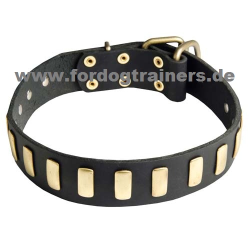 Perfektes Malinois Halsband