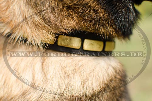 Malinois Halsband aus Leder