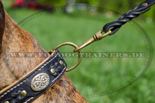 Dog collar for Boxer strong