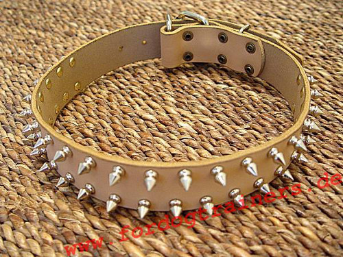 designer dog collar of tan leather