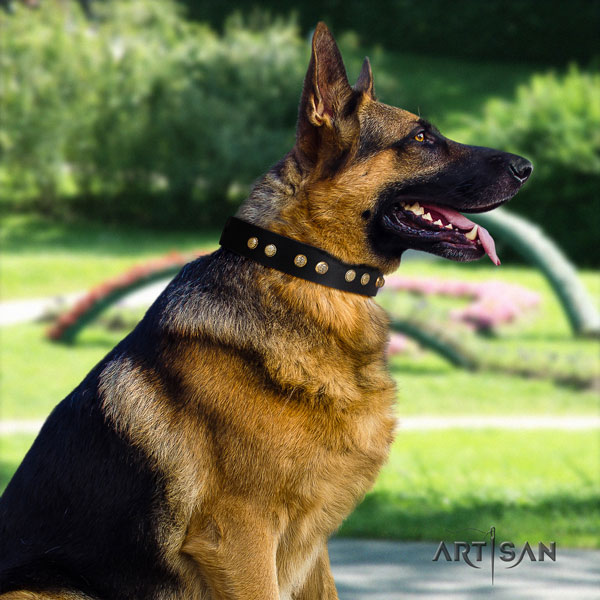 Schäferhund Halsband aus Leder in schwarz