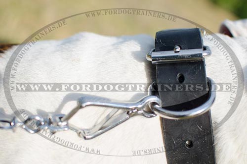 Halsband aus Leder für American Bulldog