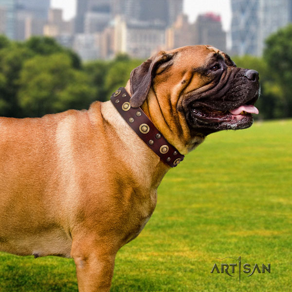 Genietetes Lederhalsband für Bullmastiff