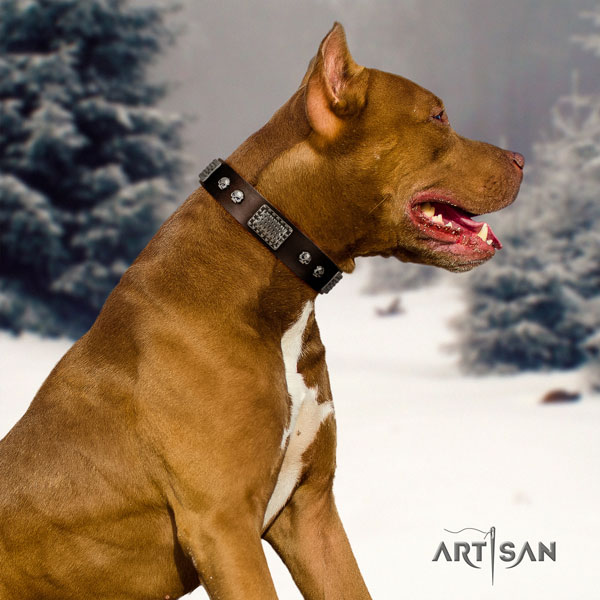 Pitbull Halsband aus schwarzem Naturleder