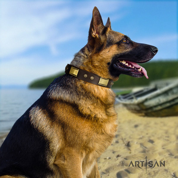 Schäferhund Halsband aus braunem Naturleder