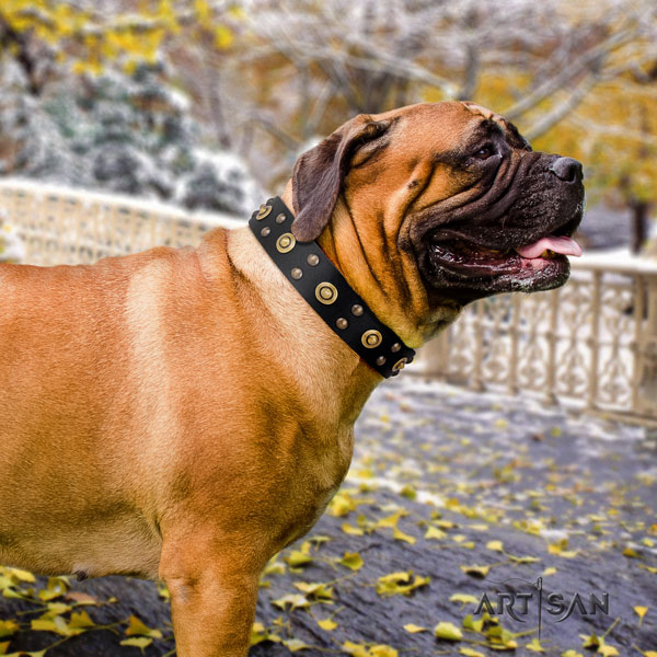 Schwarzes Nieten Lederhalsband für Bullmastiff