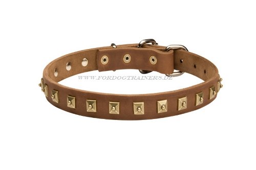 Bullterrier Nieten Halsband aus Leder