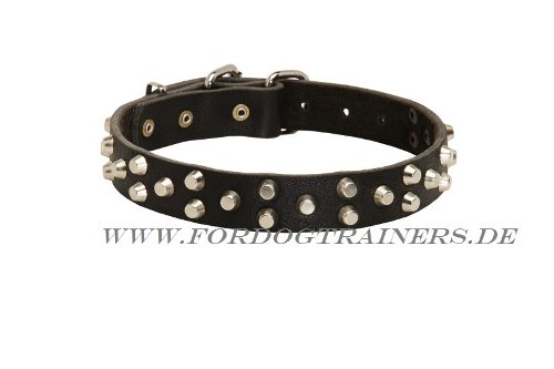 Westie genietetes Halsband Leder