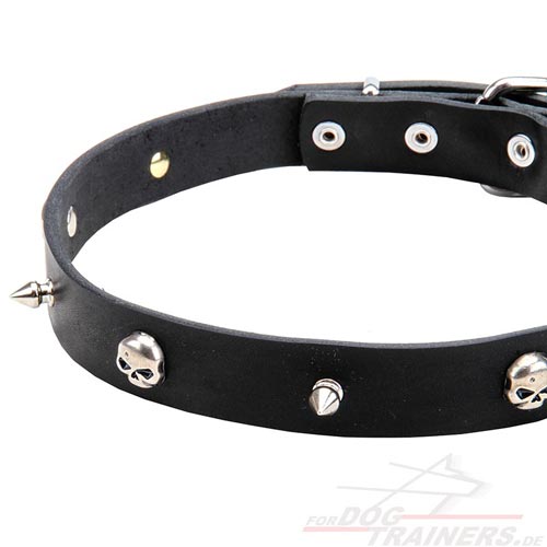 Hundehalsband mit Spikes und Schädel