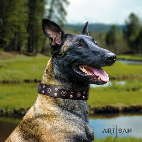 Malinois Halsband aus Leder in braun