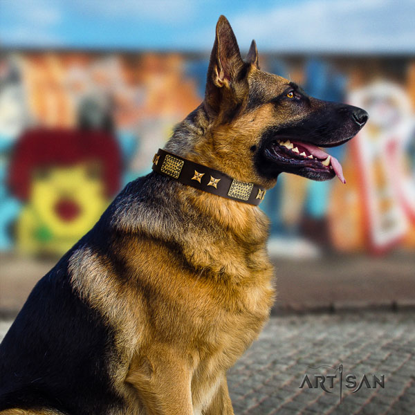 Schäferhund Halsband aus Leder in braun