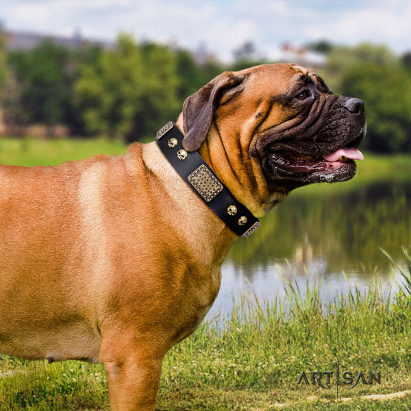 Genietetes Lederhalsband in schwarz für Bullmastiff