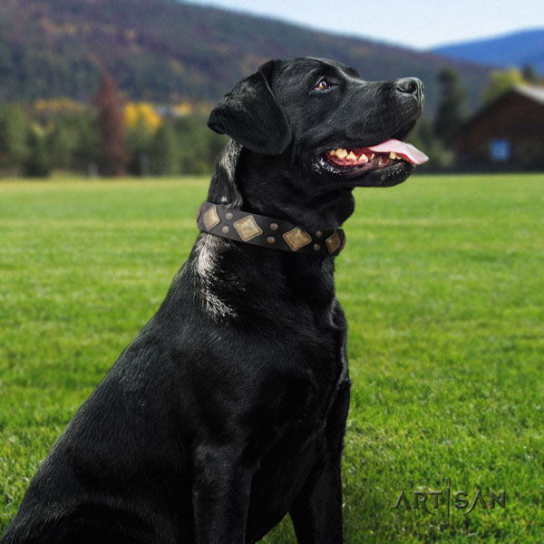 Genietetes Lederhalsband in schwarz für Labrador