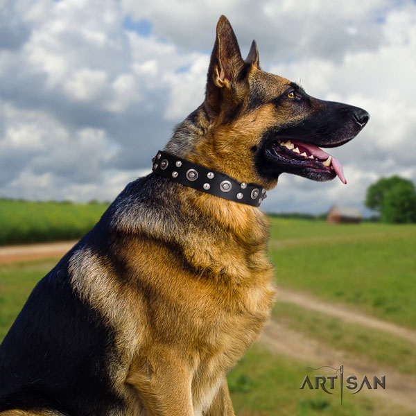 Genietetes Lederhalsband in schwarz für Schäferhund