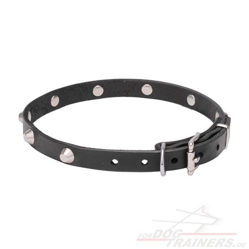 originelles Leder Hundehalsband