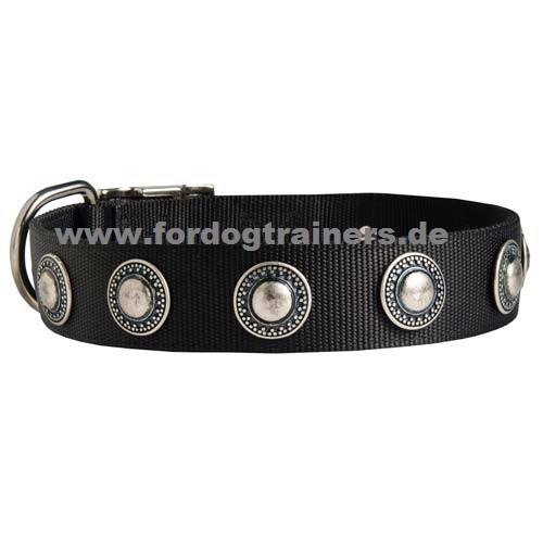 Halsband für Malinois Designer