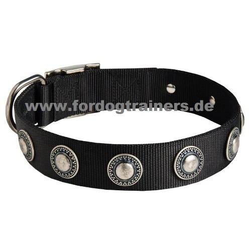 Nylonhalsband für Shar Pei kaufen