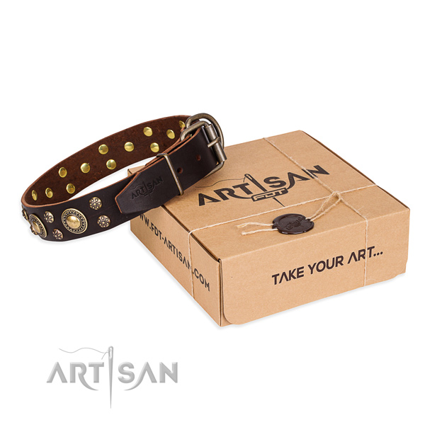 Nieten Halsband aus Leder von FDT Artisan mit Verpackung