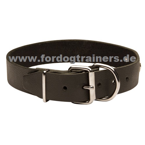 Halsband für Shar Pei mit ID-Platte kaufen