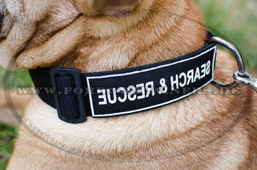 Halsband für Shar Pei robust