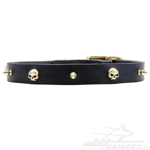 Hunde Halsband Rockstar Stil mit Nieten