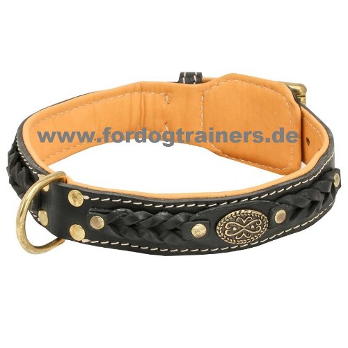 Leather dog collar for Boxer with braids