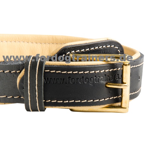 Lederhalsband für Malinois Royal