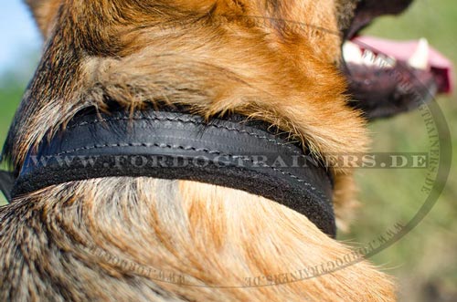 Deutscher Schäferhund Leder Hundehalsband