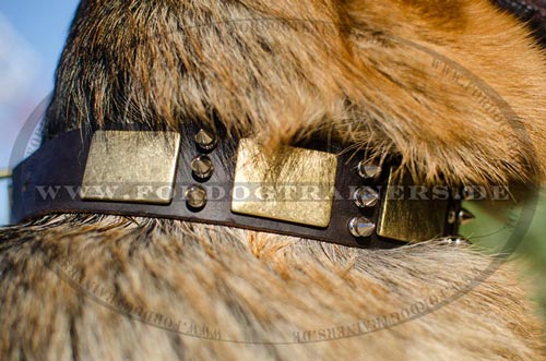 Leather dog collar for German Shepherd buy