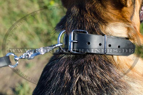 Großes Schäferhund Halsband