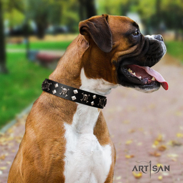 Boxer Lederhalsband, bequem und robust