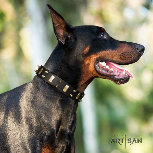 Halsband aus Leder für Dobermann