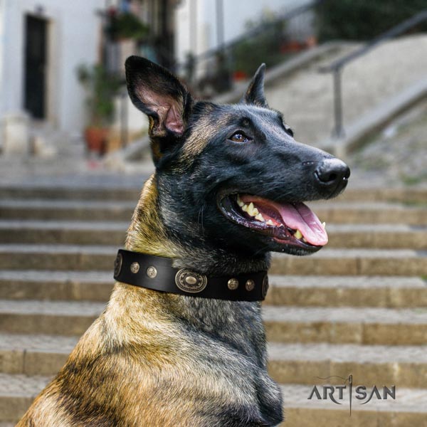 Genietetes Lederhalsband in schwarz für Malinois