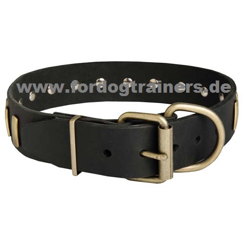 Nieten Halsband für Amerikanische Bulldogge elegant