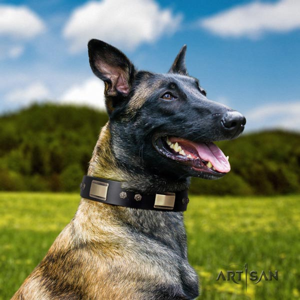 Genietetes Lederhalsband in schwarz für Malinois