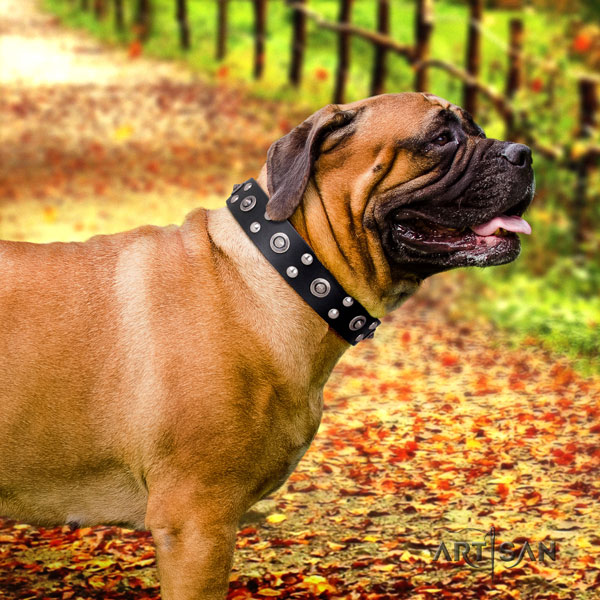 Bullmastiff Halsband aus Leder in schwarz