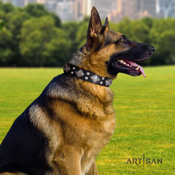 Schäferhund Halsband aus Leder in schwarz