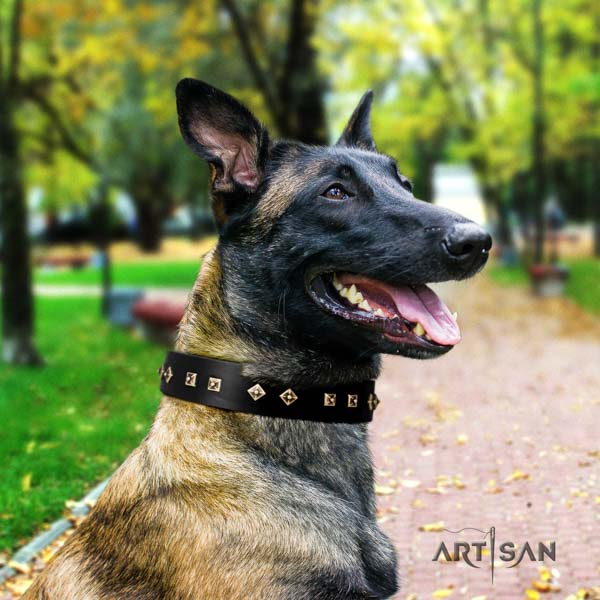 Genietetes Lederhalsband in schwarz für Malinois