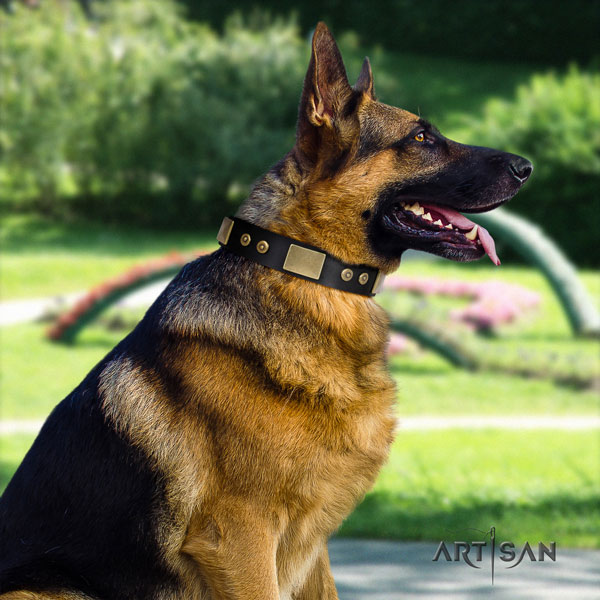 Schäferhund Halsband aus schwarzem Leder