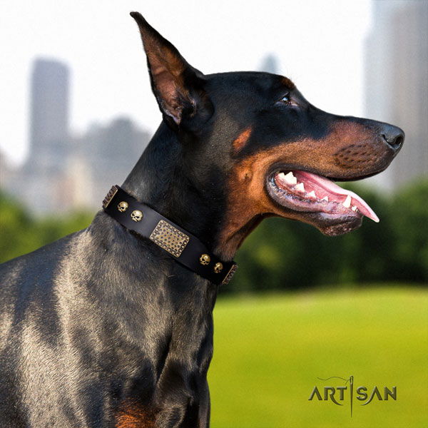 Dobermann Halsband aus schwarzem Naturleder