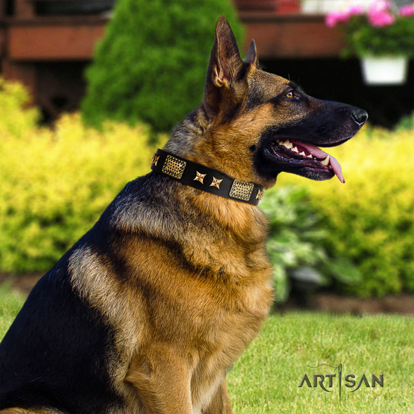 Schäferhund Halsband aus Leder in schwarz