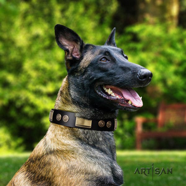 Malinois Halsband aus schwarzem Leder