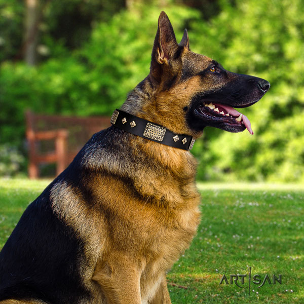 Schäferhund Halsband aus schwarzem Naturleder