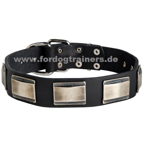 Halsband für Schweizer Sennenhund