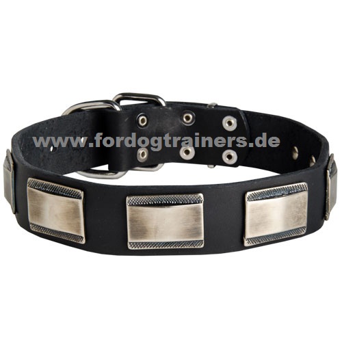 Halsband für französische bulldoggen