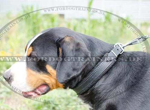 Sennenhund Hundehalsband aus Leder