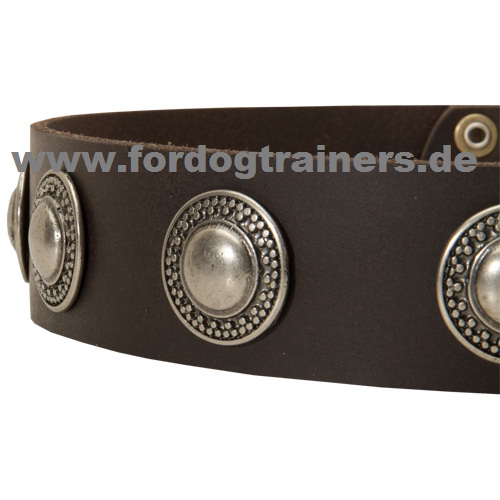 Handgefertigtes Halsband für Shar Pei